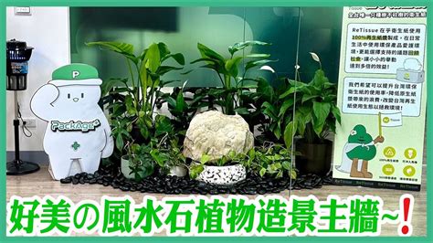 大門口盆栽|風水師推薦門口植物